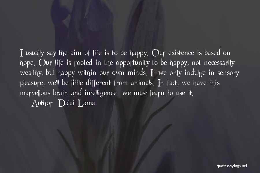 Dalai Lama Quotes: I Usually Say The Aim Of Life Is To Be Happy. Our Existence Is Based On Hope. Our Life Is