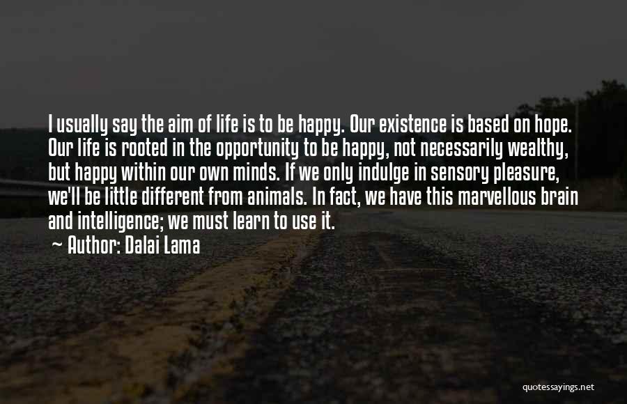 Dalai Lama Quotes: I Usually Say The Aim Of Life Is To Be Happy. Our Existence Is Based On Hope. Our Life Is