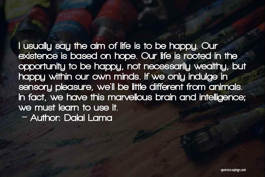 Dalai Lama Quotes: I Usually Say The Aim Of Life Is To Be Happy. Our Existence Is Based On Hope. Our Life Is