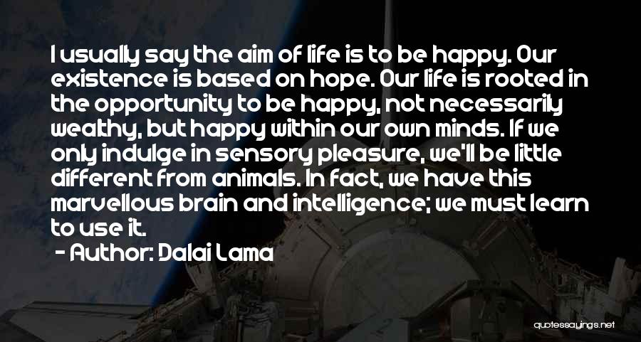 Dalai Lama Quotes: I Usually Say The Aim Of Life Is To Be Happy. Our Existence Is Based On Hope. Our Life Is