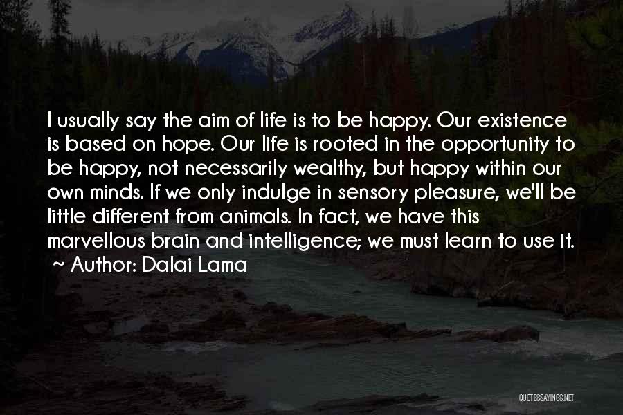 Dalai Lama Quotes: I Usually Say The Aim Of Life Is To Be Happy. Our Existence Is Based On Hope. Our Life Is