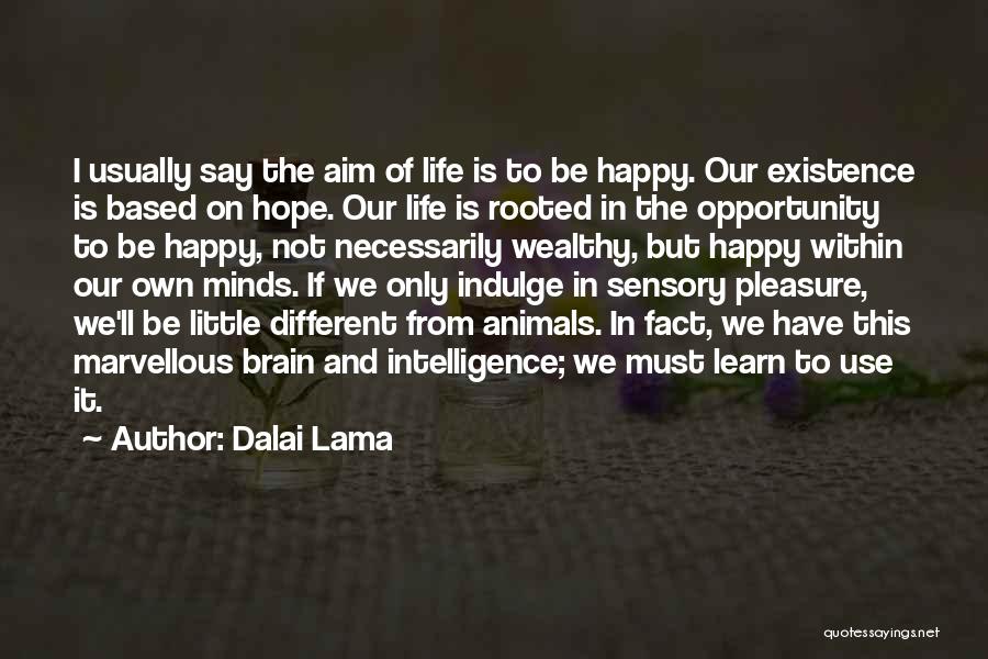 Dalai Lama Quotes: I Usually Say The Aim Of Life Is To Be Happy. Our Existence Is Based On Hope. Our Life Is