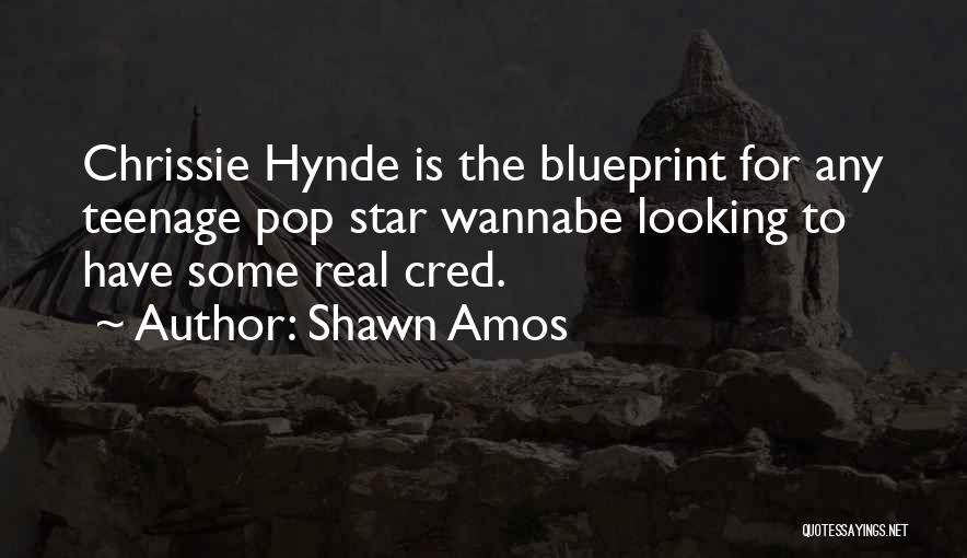 Shawn Amos Quotes: Chrissie Hynde Is The Blueprint For Any Teenage Pop Star Wannabe Looking To Have Some Real Cred.
