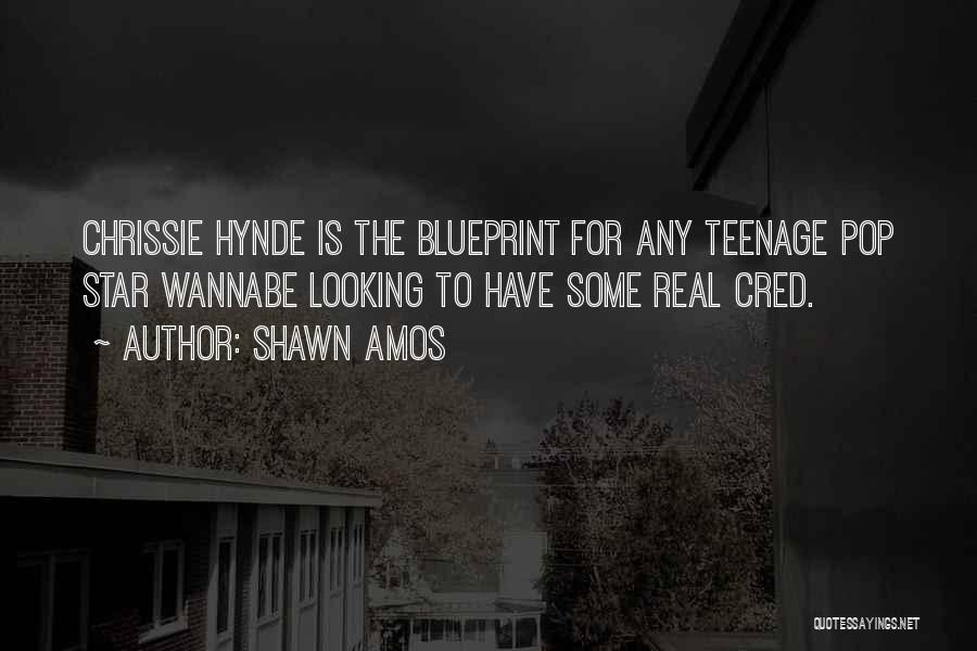 Shawn Amos Quotes: Chrissie Hynde Is The Blueprint For Any Teenage Pop Star Wannabe Looking To Have Some Real Cred.
