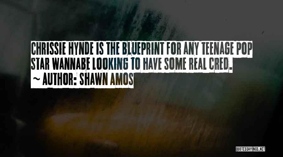 Shawn Amos Quotes: Chrissie Hynde Is The Blueprint For Any Teenage Pop Star Wannabe Looking To Have Some Real Cred.