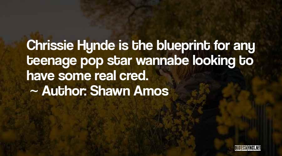 Shawn Amos Quotes: Chrissie Hynde Is The Blueprint For Any Teenage Pop Star Wannabe Looking To Have Some Real Cred.