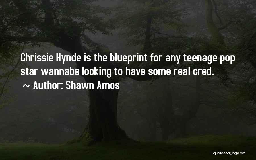 Shawn Amos Quotes: Chrissie Hynde Is The Blueprint For Any Teenage Pop Star Wannabe Looking To Have Some Real Cred.