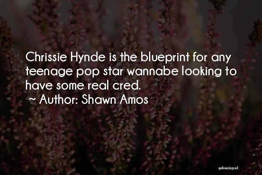 Shawn Amos Quotes: Chrissie Hynde Is The Blueprint For Any Teenage Pop Star Wannabe Looking To Have Some Real Cred.