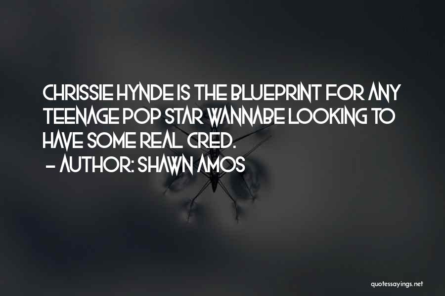 Shawn Amos Quotes: Chrissie Hynde Is The Blueprint For Any Teenage Pop Star Wannabe Looking To Have Some Real Cred.