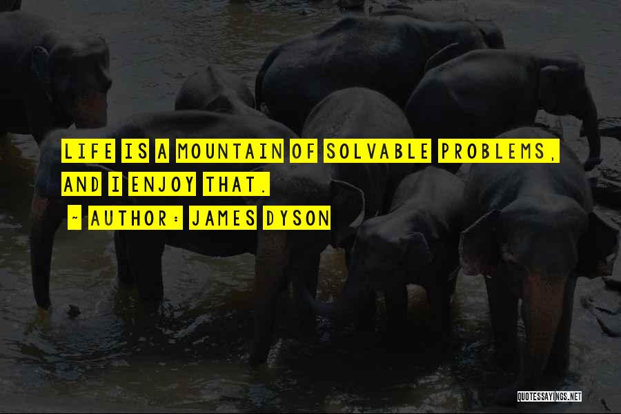 James Dyson Quotes: Life Is A Mountain Of Solvable Problems, And I Enjoy That.