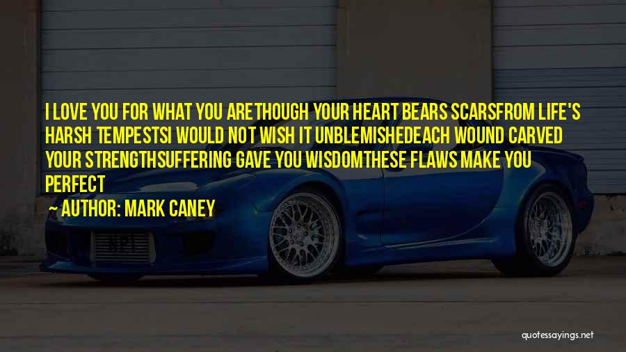 Mark Caney Quotes: I Love You For What You Arethough Your Heart Bears Scarsfrom Life's Harsh Tempestsi Would Not Wish It Unblemishedeach Wound