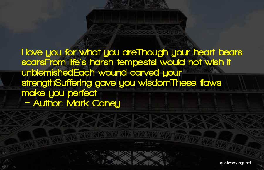 Mark Caney Quotes: I Love You For What You Arethough Your Heart Bears Scarsfrom Life's Harsh Tempestsi Would Not Wish It Unblemishedeach Wound