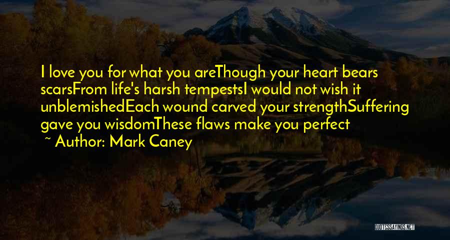 Mark Caney Quotes: I Love You For What You Arethough Your Heart Bears Scarsfrom Life's Harsh Tempestsi Would Not Wish It Unblemishedeach Wound