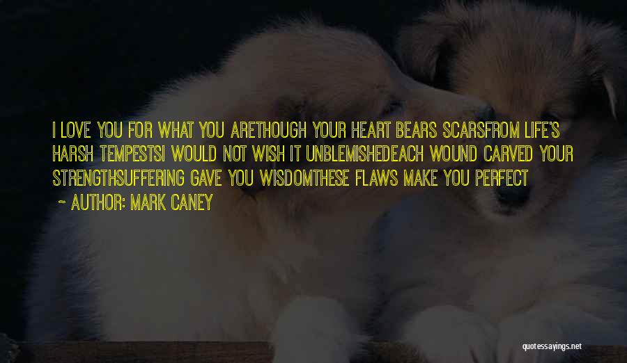 Mark Caney Quotes: I Love You For What You Arethough Your Heart Bears Scarsfrom Life's Harsh Tempestsi Would Not Wish It Unblemishedeach Wound
