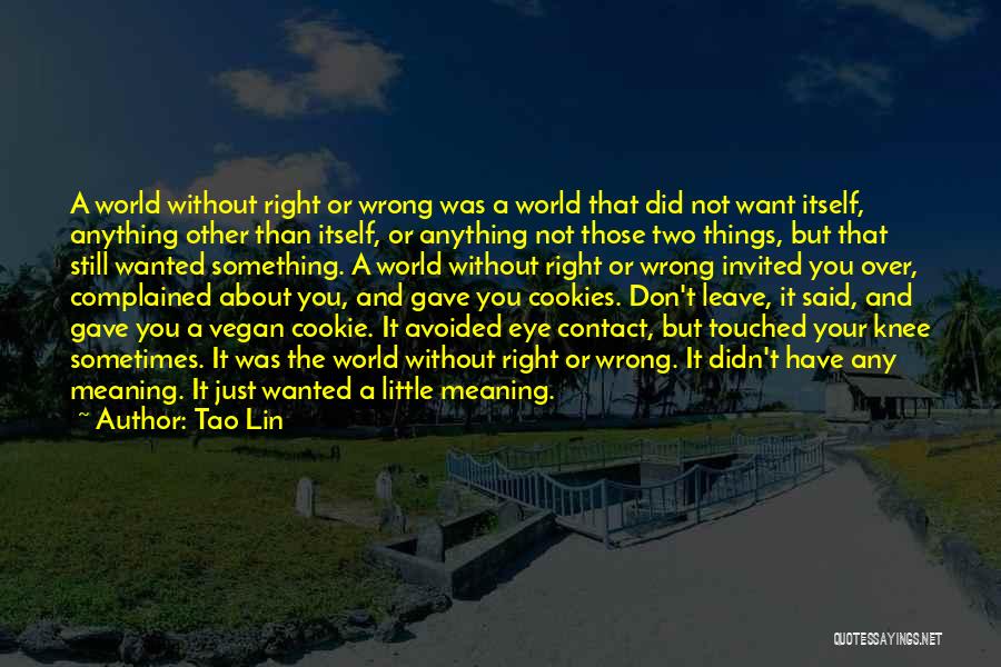 Tao Lin Quotes: A World Without Right Or Wrong Was A World That Did Not Want Itself, Anything Other Than Itself, Or Anything