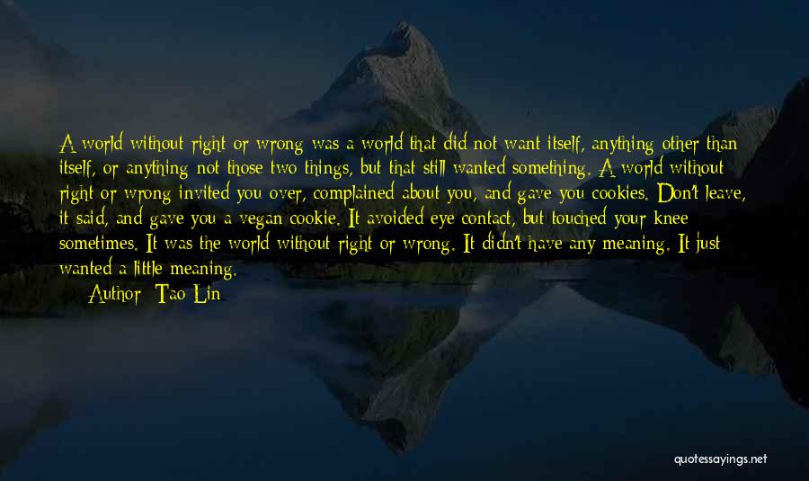 Tao Lin Quotes: A World Without Right Or Wrong Was A World That Did Not Want Itself, Anything Other Than Itself, Or Anything