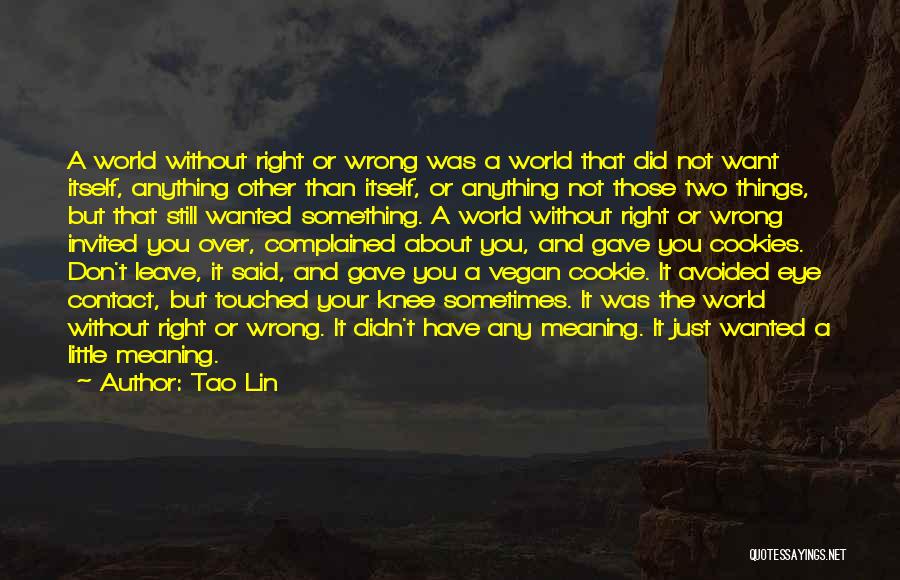 Tao Lin Quotes: A World Without Right Or Wrong Was A World That Did Not Want Itself, Anything Other Than Itself, Or Anything