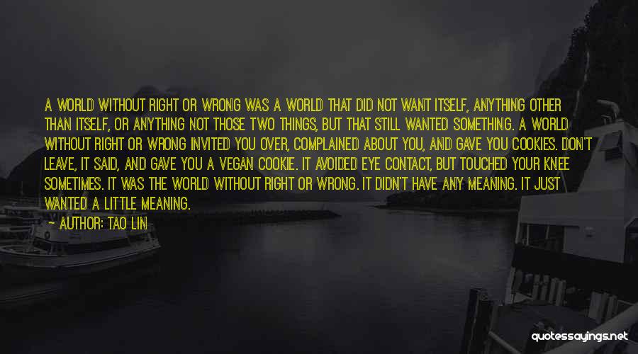 Tao Lin Quotes: A World Without Right Or Wrong Was A World That Did Not Want Itself, Anything Other Than Itself, Or Anything