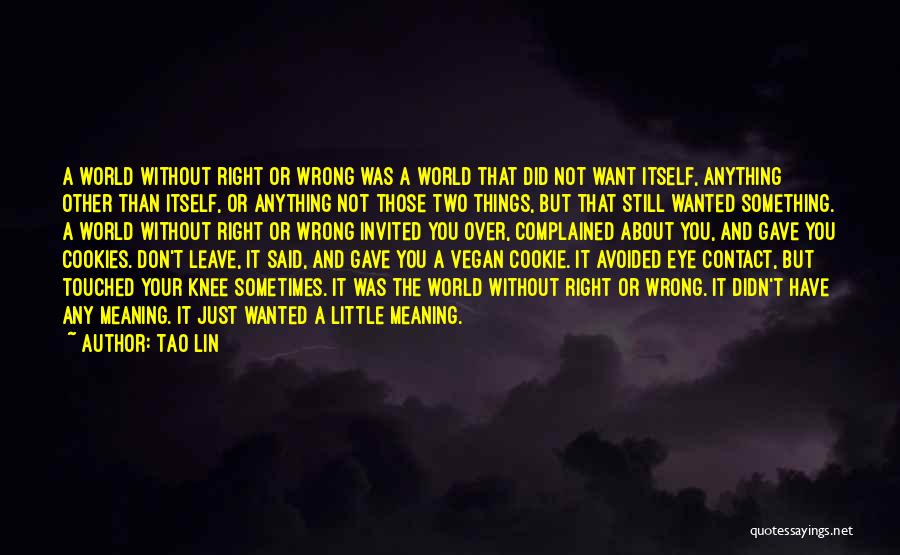 Tao Lin Quotes: A World Without Right Or Wrong Was A World That Did Not Want Itself, Anything Other Than Itself, Or Anything