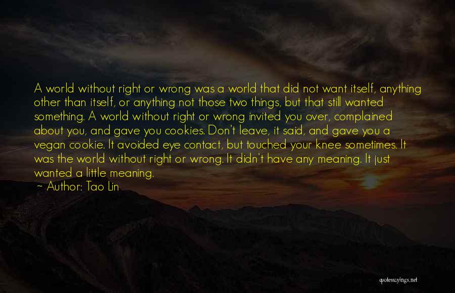 Tao Lin Quotes: A World Without Right Or Wrong Was A World That Did Not Want Itself, Anything Other Than Itself, Or Anything