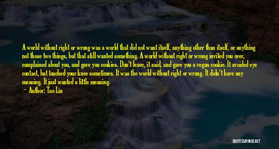 Tao Lin Quotes: A World Without Right Or Wrong Was A World That Did Not Want Itself, Anything Other Than Itself, Or Anything