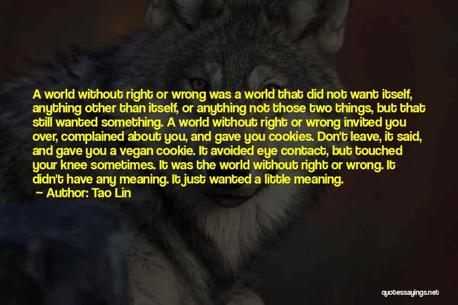 Tao Lin Quotes: A World Without Right Or Wrong Was A World That Did Not Want Itself, Anything Other Than Itself, Or Anything