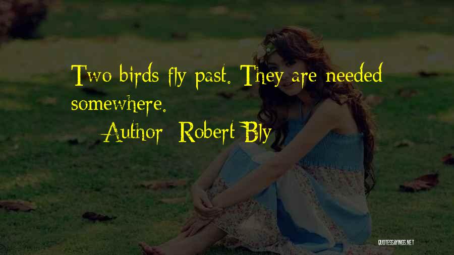 Robert Bly Quotes: Two Birds Fly Past. They Are Needed Somewhere.