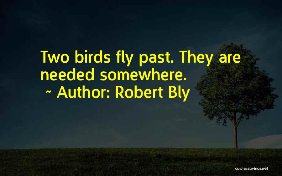 Robert Bly Quotes: Two Birds Fly Past. They Are Needed Somewhere.