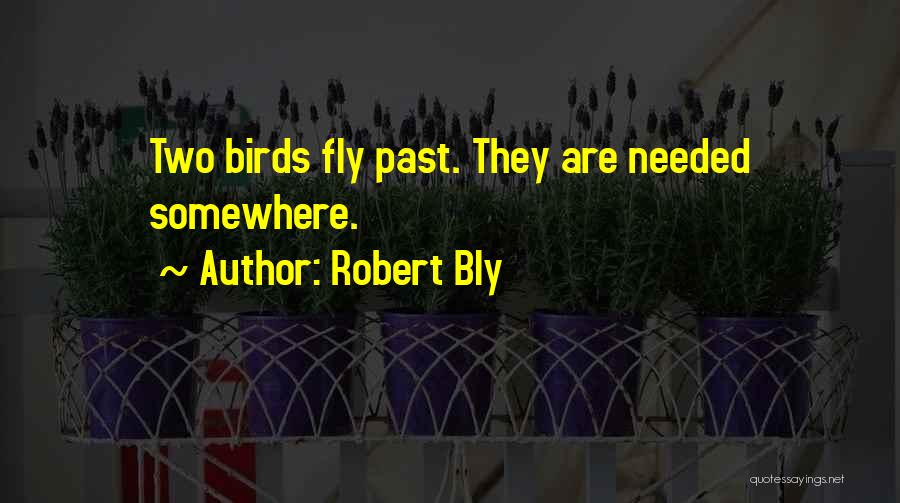 Robert Bly Quotes: Two Birds Fly Past. They Are Needed Somewhere.