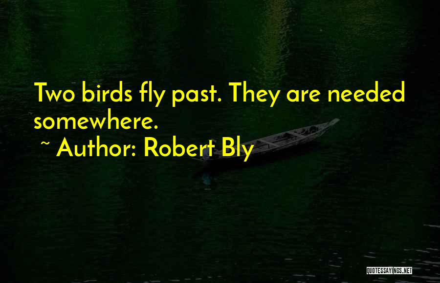 Robert Bly Quotes: Two Birds Fly Past. They Are Needed Somewhere.