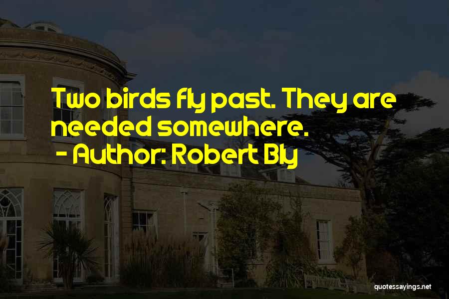 Robert Bly Quotes: Two Birds Fly Past. They Are Needed Somewhere.