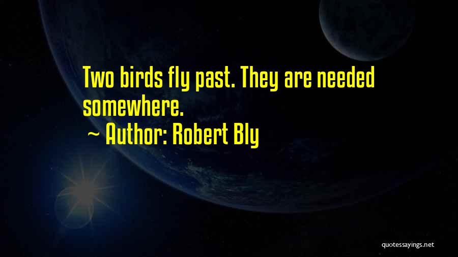 Robert Bly Quotes: Two Birds Fly Past. They Are Needed Somewhere.