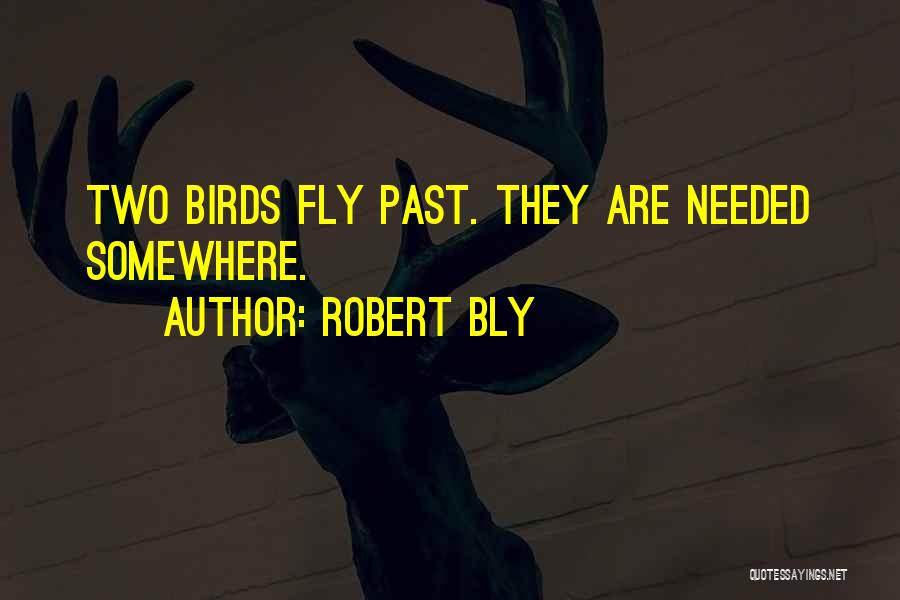 Robert Bly Quotes: Two Birds Fly Past. They Are Needed Somewhere.