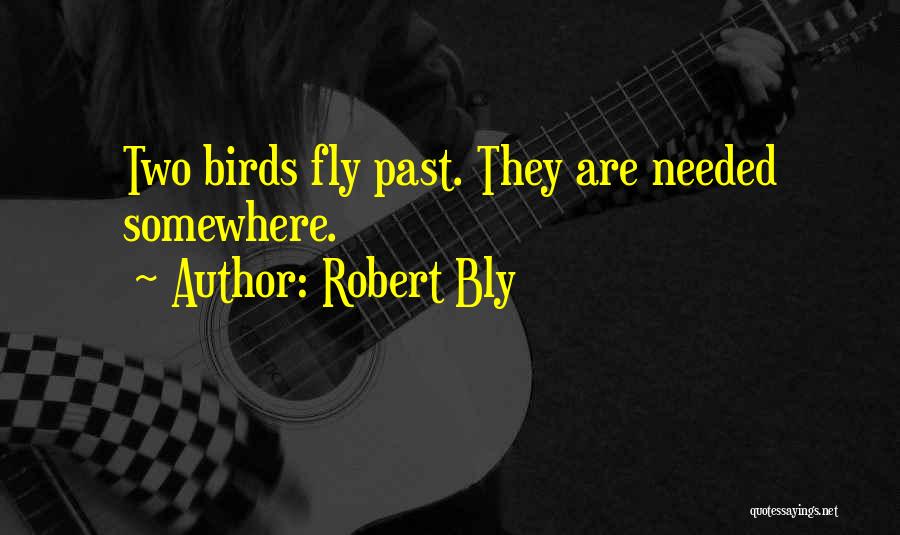 Robert Bly Quotes: Two Birds Fly Past. They Are Needed Somewhere.