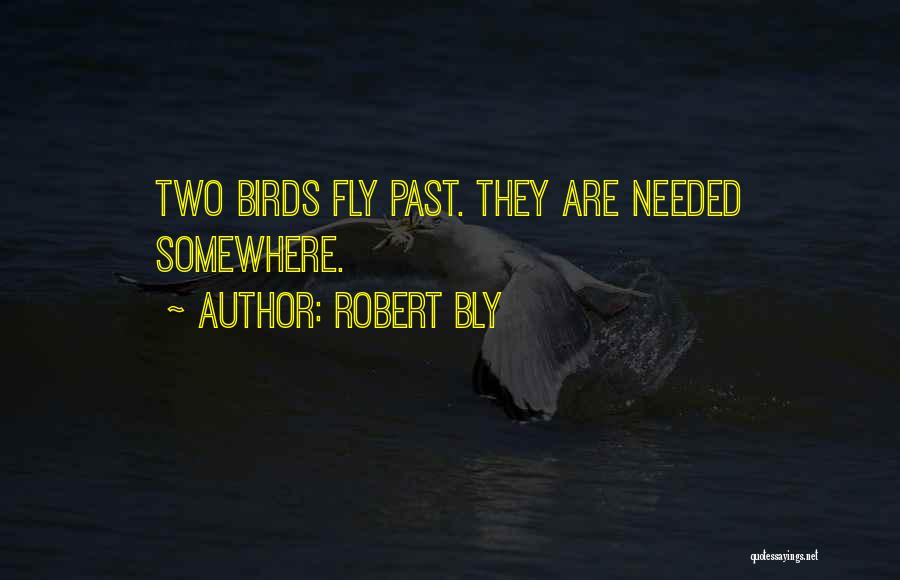 Robert Bly Quotes: Two Birds Fly Past. They Are Needed Somewhere.