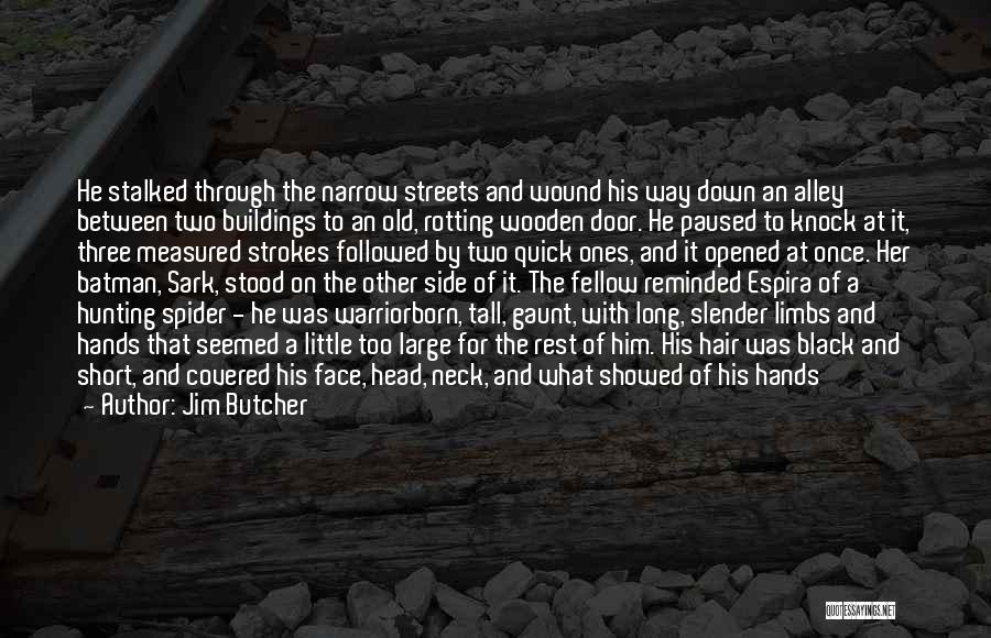 Jim Butcher Quotes: He Stalked Through The Narrow Streets And Wound His Way Down An Alley Between Two Buildings To An Old, Rotting