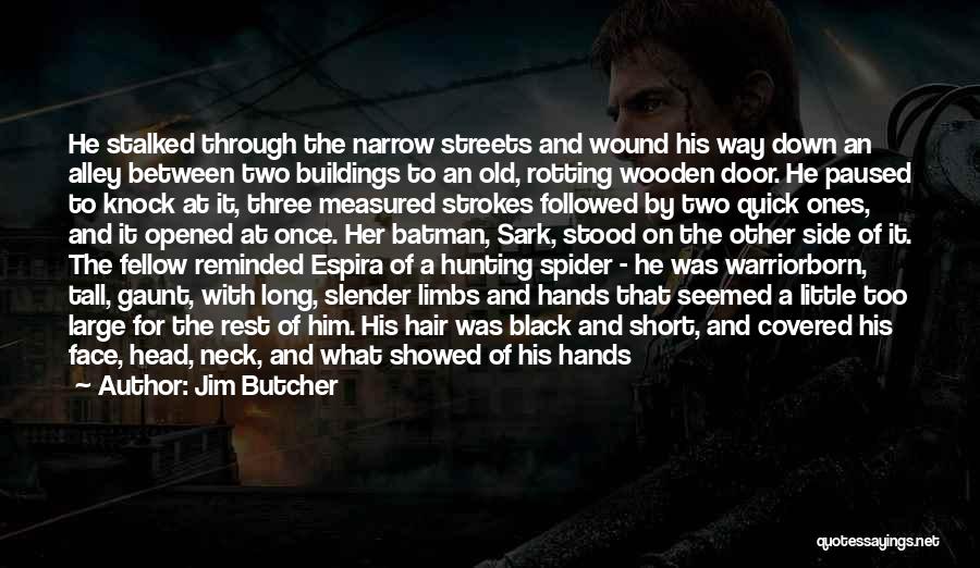 Jim Butcher Quotes: He Stalked Through The Narrow Streets And Wound His Way Down An Alley Between Two Buildings To An Old, Rotting