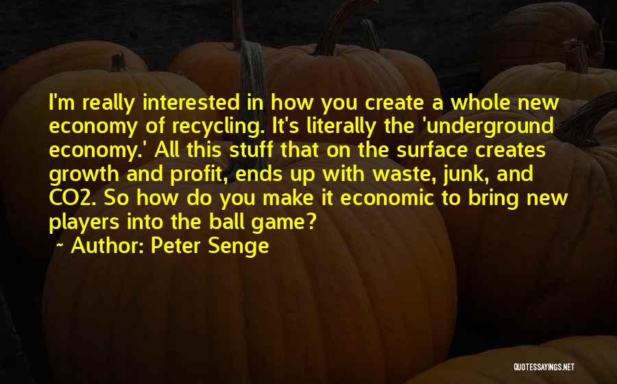 Peter Senge Quotes: I'm Really Interested In How You Create A Whole New Economy Of Recycling. It's Literally The 'underground Economy.' All This