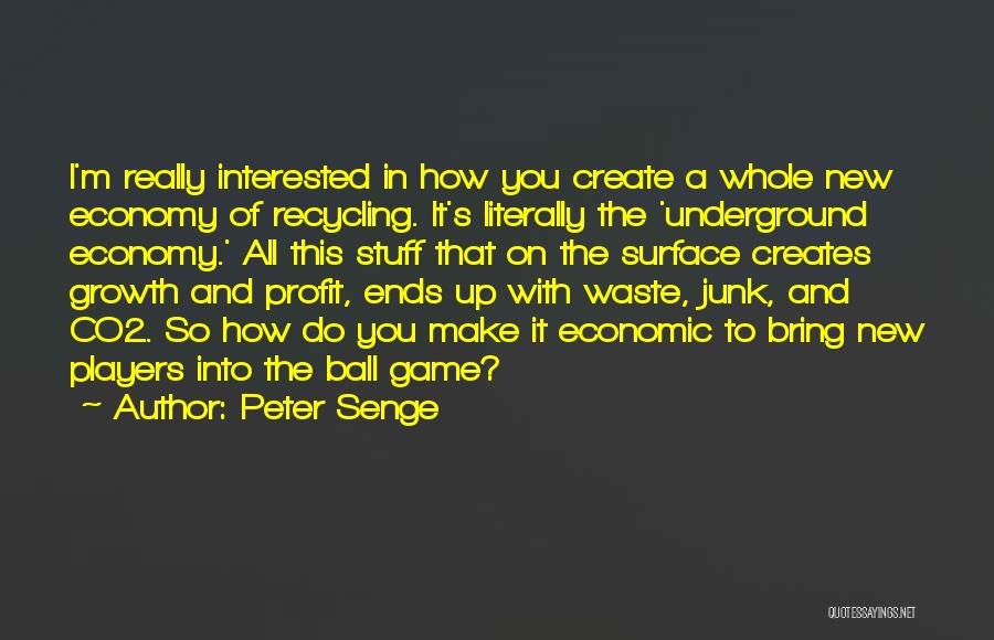 Peter Senge Quotes: I'm Really Interested In How You Create A Whole New Economy Of Recycling. It's Literally The 'underground Economy.' All This