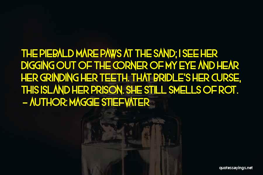 Maggie Stiefvater Quotes: The Piebald Mare Paws At The Sand; I See Her Digging Out Of The Corner Of My Eye And Hear