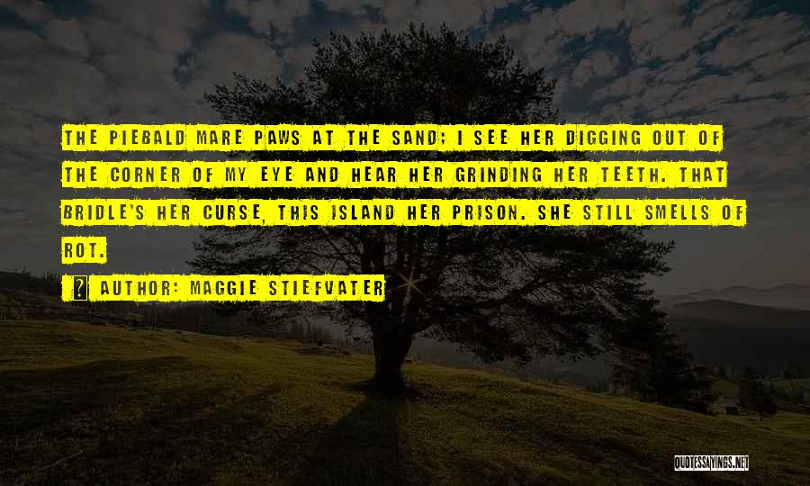 Maggie Stiefvater Quotes: The Piebald Mare Paws At The Sand; I See Her Digging Out Of The Corner Of My Eye And Hear