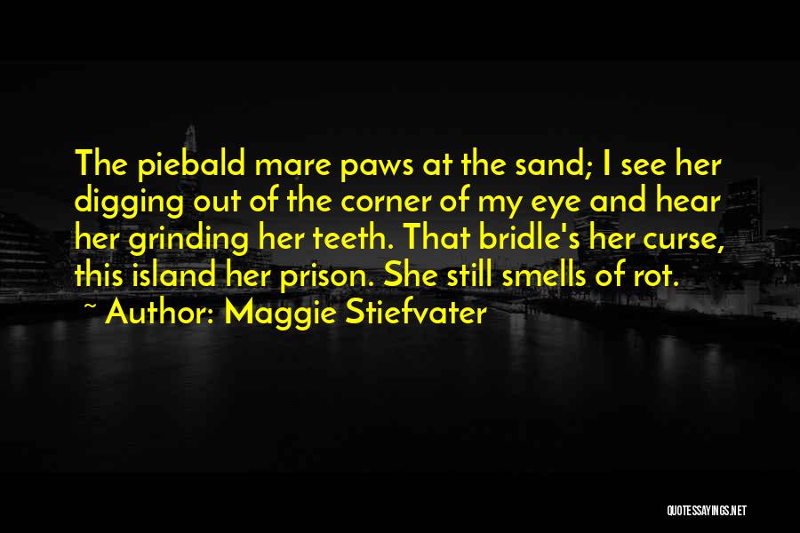 Maggie Stiefvater Quotes: The Piebald Mare Paws At The Sand; I See Her Digging Out Of The Corner Of My Eye And Hear