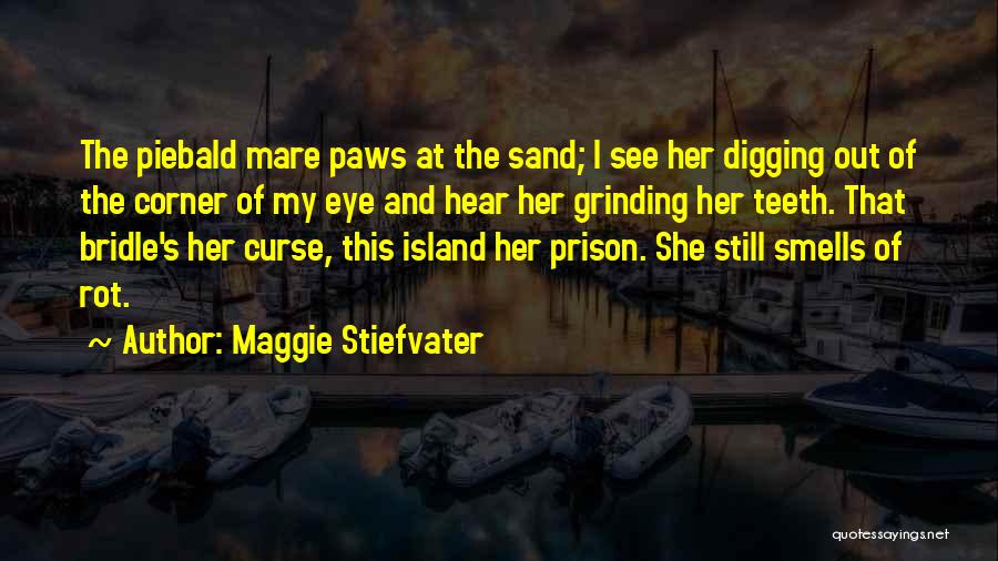 Maggie Stiefvater Quotes: The Piebald Mare Paws At The Sand; I See Her Digging Out Of The Corner Of My Eye And Hear