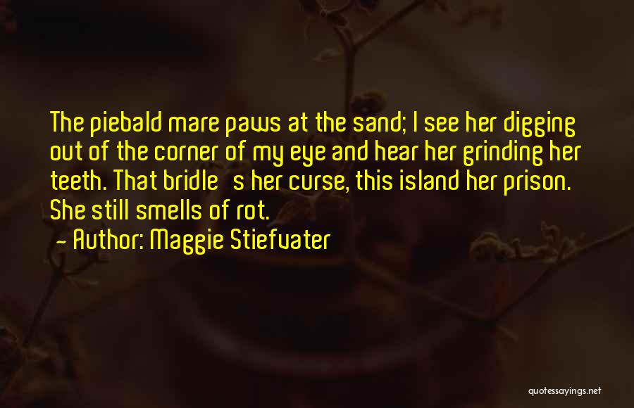 Maggie Stiefvater Quotes: The Piebald Mare Paws At The Sand; I See Her Digging Out Of The Corner Of My Eye And Hear