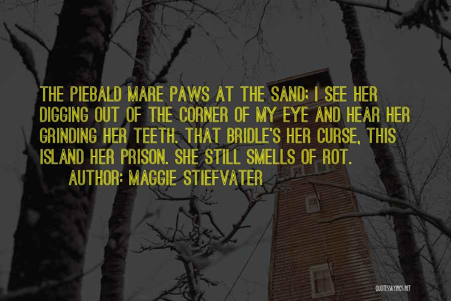 Maggie Stiefvater Quotes: The Piebald Mare Paws At The Sand; I See Her Digging Out Of The Corner Of My Eye And Hear