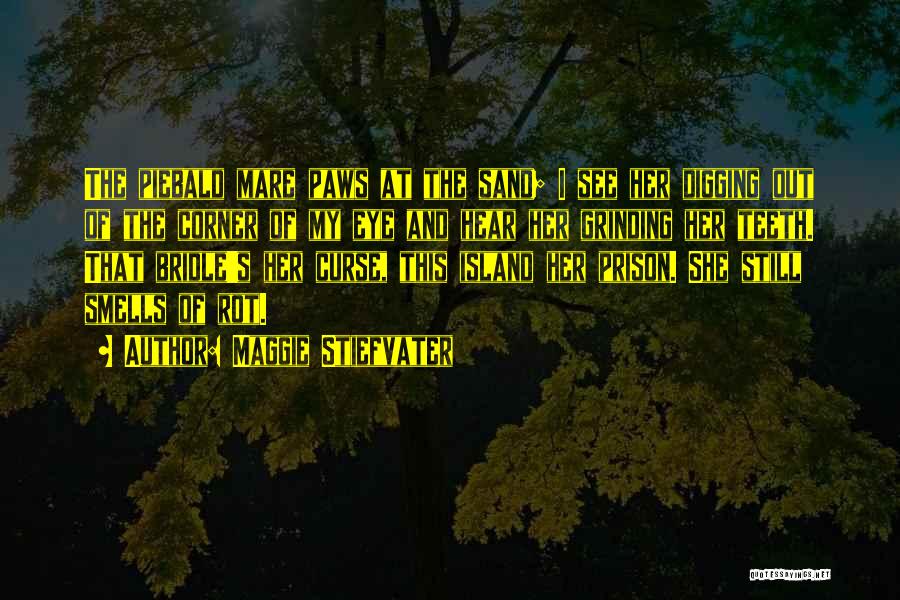 Maggie Stiefvater Quotes: The Piebald Mare Paws At The Sand; I See Her Digging Out Of The Corner Of My Eye And Hear