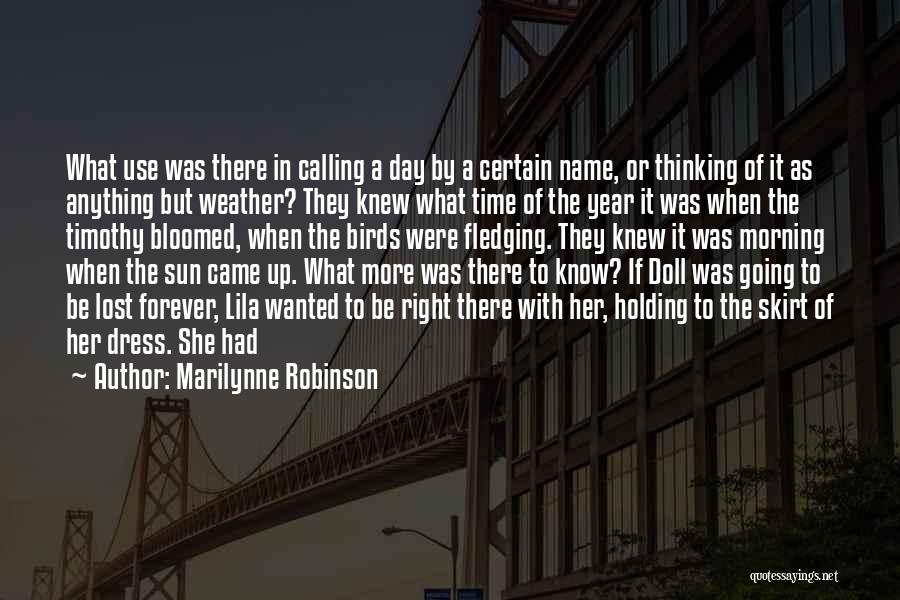 Marilynne Robinson Quotes: What Use Was There In Calling A Day By A Certain Name, Or Thinking Of It As Anything But Weather?