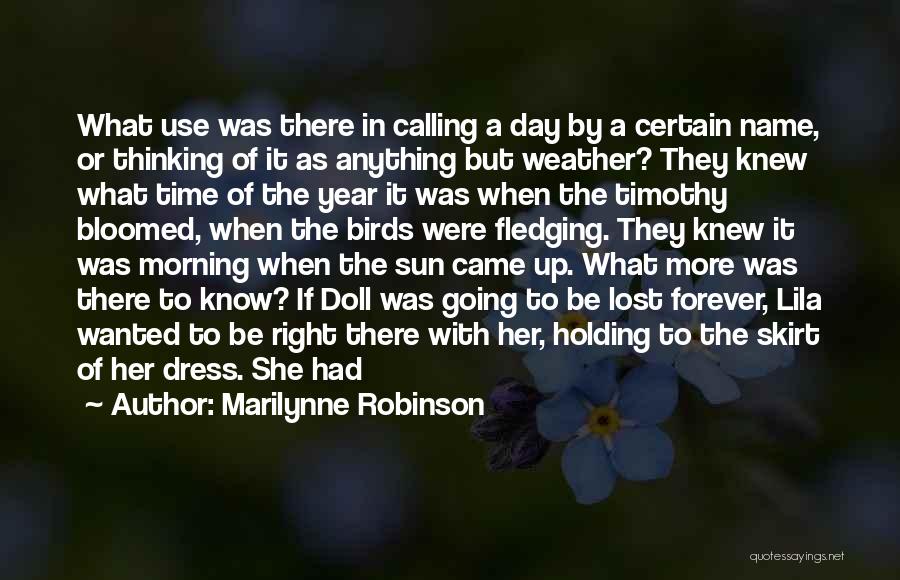 Marilynne Robinson Quotes: What Use Was There In Calling A Day By A Certain Name, Or Thinking Of It As Anything But Weather?