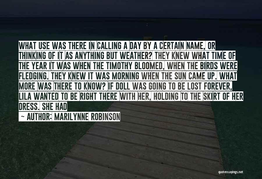 Marilynne Robinson Quotes: What Use Was There In Calling A Day By A Certain Name, Or Thinking Of It As Anything But Weather?