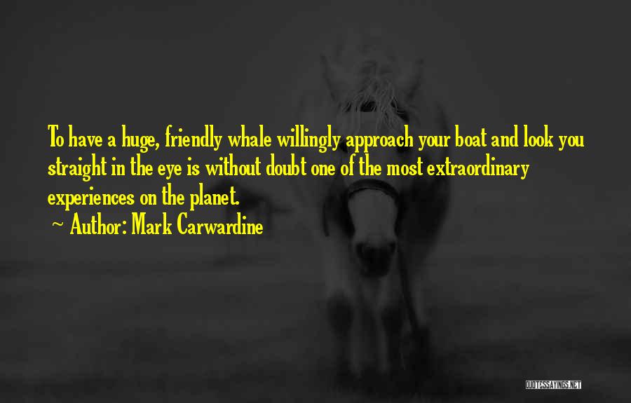 Mark Carwardine Quotes: To Have A Huge, Friendly Whale Willingly Approach Your Boat And Look You Straight In The Eye Is Without Doubt